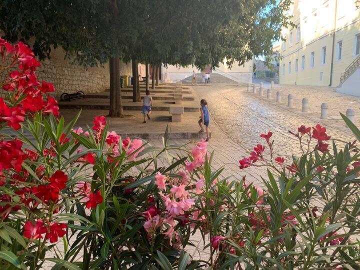 Feel The City Atmosphere Rovinj Exterior foto
