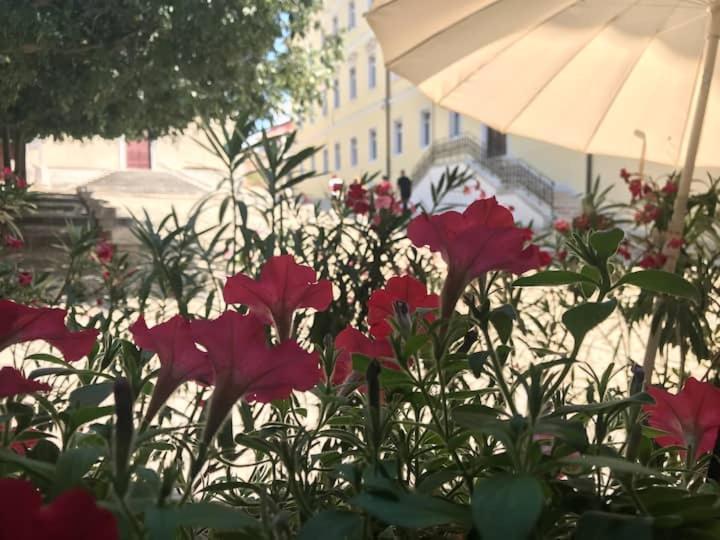 Feel The City Atmosphere Rovinj Exterior foto